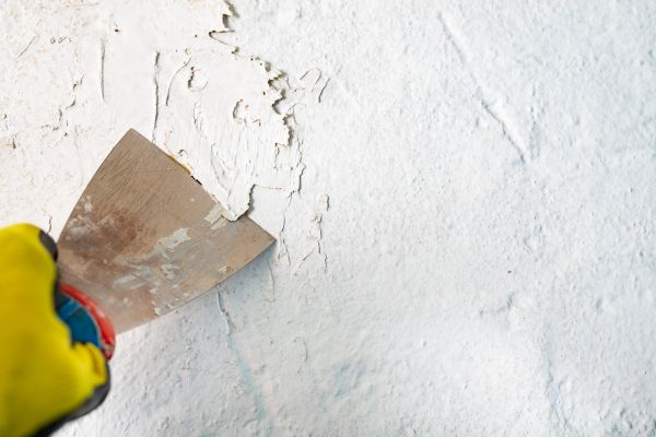 Paint Abatement Service